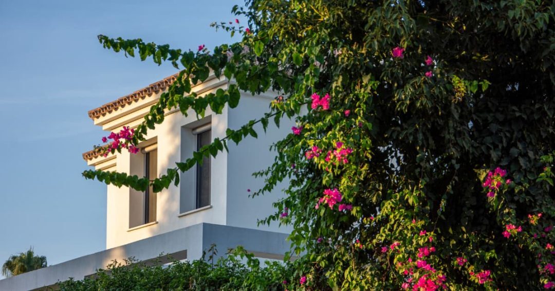 Mediterranean homes