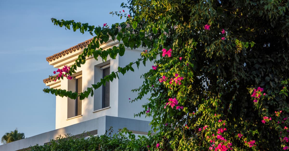Mediterranean homes